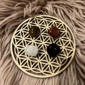 Stenpose for Stenbukken