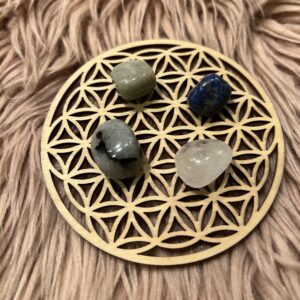 Stenpose for Krebsen