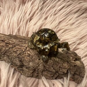 Resin Skildpadde med Tigerøje