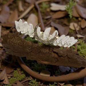 Heksekrone med Kvarts Spidser