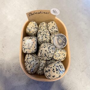 Dalmatiner Jaspis