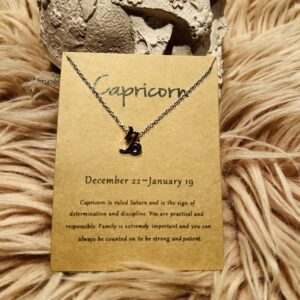Stenbukkens Stjernetegn Halskæde – Guld og Sølv