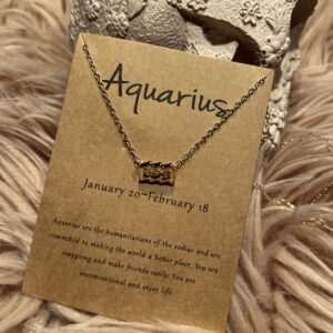 Vandmandens stjernetegn halskæde – i guld og sølv