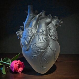 Anatomisk hjertevase – 9 udgange