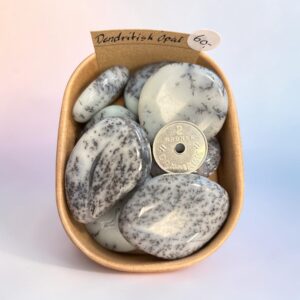 Dendritisk Opal Worry Stone