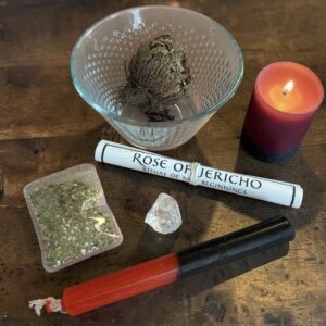 Rose of Jericho – Ritual of New Beginnings
